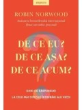 Cumpara ieftin De ce eu? De ce asa? De ce acum?/Robin Norwood