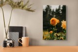 Tablou Canvas, "Galbenul florilor de toamnă liniștită", Florile, Galbene, Naturale, Vesele, Elegante, Strălucitoare, Proaspete, Fragede, Armonioase, P