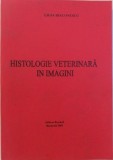 HISTOLOGIE VETERINARA IN IMAGINI de LIGIA DIACONESCU , 2001