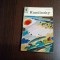KANDINSKY - C. Doelman - Marabout Universite, 1964, 89 p.