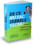 De ce nu fac zebrele ulcer? Ce este stresul, cum ne imbolnaveste si cum il putem combate - Dan Craciun, Robert M. Sapolsky