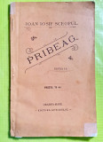 E58-PRIBEAG-IOAN IOSIF SCEOPUL ORADEA MARE 1899 I- Editie. Carte veche Romania.