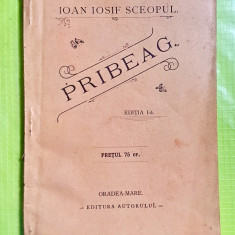 E58-PRIBEAG-IOAN IOSIF SCEOPUL ORADEA MARE 1899 I- Editie. Carte veche Romania.