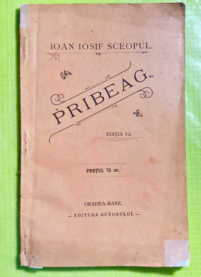 E58-PRIBEAG-IOAN IOSIF SCEOPUL ORADEA MARE 1899 I- Editie. Carte veche Romania. foto