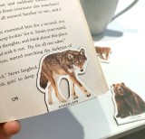 Set semne de carte magnetice - American Mammals | Kikkerland