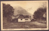 4957 - ZARNESTI, Bucegi Mountain, Romania - old postcard - unused - 1917