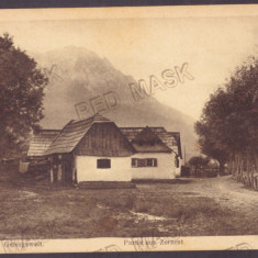 4957 - ZARNESTI, Bucegi Mountain, Romania - old postcard - unused - 1917