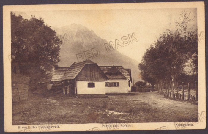 4957 - ZARNESTI, Bucegi Mountain, Romania - old postcard - unused - 1917