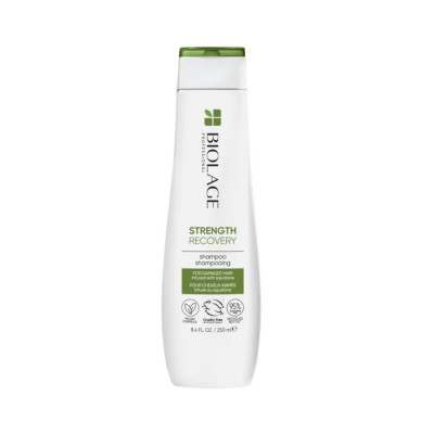 Sampon pentru par deteriorat, Biolage Strength Recovery, 200ml foto