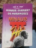 Carte despre Minaur Baia Mare