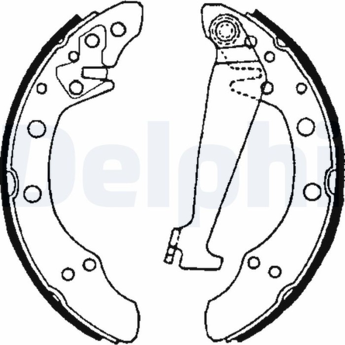 DELPHI LS1625 Set saboti frana