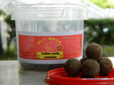 Elit Baits - Boilies de carlig fiert 20mm Premium (Squid + Afine) - 100g