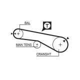 Curea distributie Hyundai; Kia; Mitsubishi; Proton, 1.6 16V, 1.8 16V, 2.0, 2.0 16V, 2.0 4WD, 2.0 GTI 16V, 2.4, 2.4 4WD, 2.4 GDI, 2.0 TDI, 2.0 Turbo,