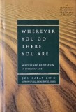 Wherever You Go There You Are. Mindfulness Meditation in Everyday Life - Jon Kabat-Zinn (cateva sublinieri)