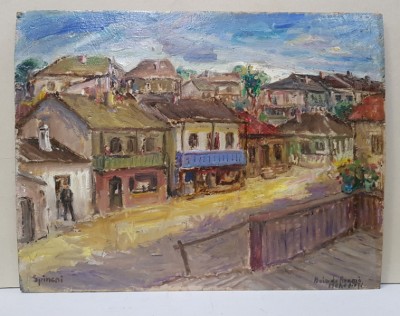 Nicolcea Spineni - Baia de Arama, Mehedinti foto