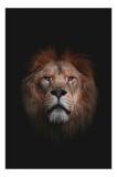 Tablou Canvas Leu Regal Majestic din Savană, 26 x 39 cm, CMCLASS