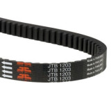 Curea transmisie (lățime: 22,5mm, lungime: 906mm), compatibil: BENELLI CAFFENERO, MACIS; GARELLI CITYFOUR, MOSQUITO, NOI, XO; HONDA FES, NES, PES, SES, JT