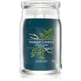 Yankee Candle Bayside Cedar lum&acirc;nare parfumată I. Signature 567 g