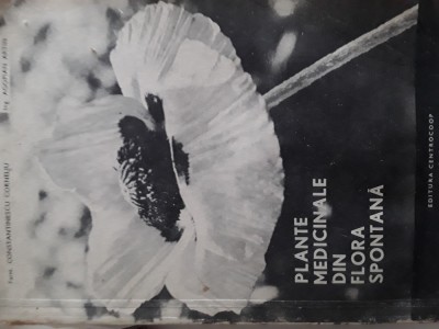 Plante medicinala din flora spontana C.Constantinescu, A.Agopian 1967 foto