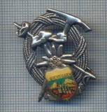 AX 181 INSIGNA- TURISM MONTAN -FLORI DE MUNTE-ECHIPAMENT ALPINIST-BERCHTESGADEN