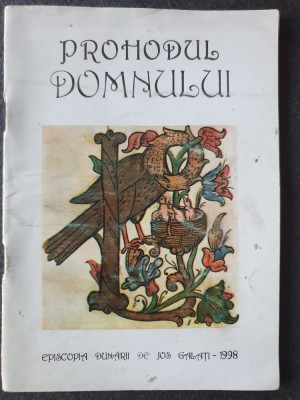 Prohodul Domnului - Episcopia Dunarii de Jos 1998, 64 pagini, stare f buna foto