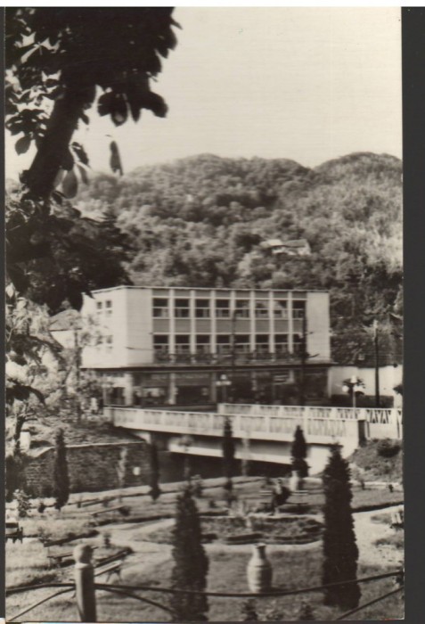 CPIB 22090 - CARTE POSTALA - VEDERE DIN OLANESTI