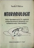 NEUROBIOLOGIE. ROLUL HIPOTALAMUSULUI IN REGLAREA COMPORTAMENTULUI ALIMENTAR SI A METABOLISMELOR INTERMEDIAR-266243