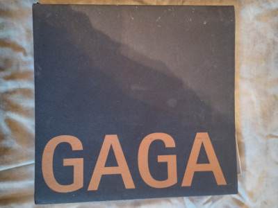 Victor Gaga-suflu arhaic so modernitate-Negoita Laptoiu foto