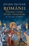 Cumpara ieftin Rom&acirc;nii: stigmat etnic, patrii imaginare. O căutare istorică