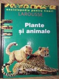 PLANTE SI ANIMALE. ENCICLOPEDIA PENTRU TINERI LAROUSSE-COLECTIV-267530