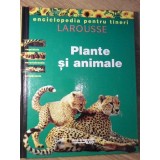 PLANTE SI ANIMALE. ENCICLOPEDIA PENTRU TINERI LAROUSSE-COLECTIV-267530