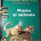 PLANTE SI ANIMALE. ENCICLOPEDIA PENTRU TINERI LAROUSSE-COLECTIV-267530