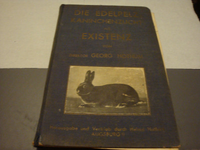 Hothum-Die Edelpelz Kanincenzucht als Existenz-1930-Iepuri - in germana foto