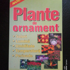 Plante de ornament-gradina de flori-sfaturi pentru gradinarul incepator