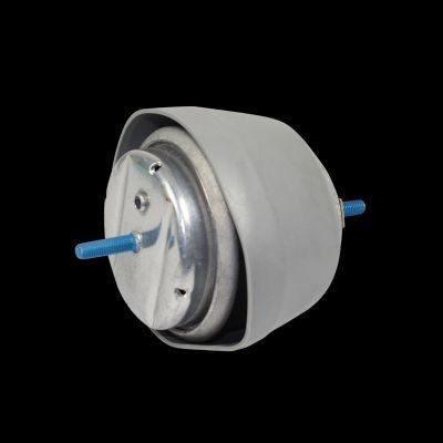 Suport motor VW PASSAT Variant (3B5) (1997 - 2001) RINGER 1120015105 foto