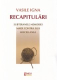 Cumpara ieftin Recapitulări - Paperback brosat - Vasile Igna - Limes