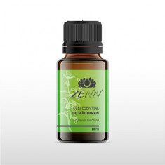 Maghiran - Origanum majorana - Sweet Marjoram essential oil foto