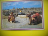 HOPCT 6214 CAMILE LA ...- IERUSALIM-ISRAEL-ASIA -NECIRCULATA