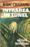 Memorii, volumul 1. Intrarea in tunel - Radu Ciuceanu