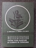 DETERMINATOR PENTRU FLORA PAJISTILOR CU ELEMENTE DE TEHNOLOGIE - Barbulescu, Burcea