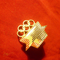 Insigna Olimpica SUA Los Angeles ,h=1,8cm , metal si email