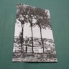 CARTE POSTALA NECIRCULATA SUCEAVA-CETATEA SUCEVEI