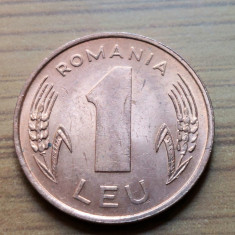 Moneda Romania 1 leu 1994 Luciu de batere