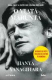 O viata marunta/Hanya Yanagihara, Litera