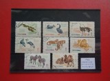 1964 - GRADINA ZOOLOGICA BUCURESTI