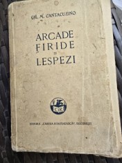 Arcade Firide si Lespezi - Gh. M. Cantacuzino foto