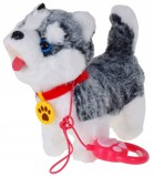 LESĂ INTERACTIVĂ PENTRU C&Acirc;INI PLIMBĂRI LĂTRĂTURI MASCOTĂ PENTRU COPII CADOU