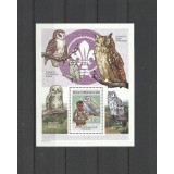 DR CONGO 2004 FAUNA CERCETASI PASARI BUFNITE