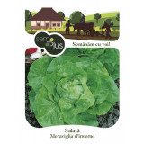 Seminte de salata Meraviglia d Inverno 2 grame SemPlus