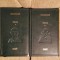 IDIOTUL-FEODOR DOSTOIEVSKI (2 VOL)